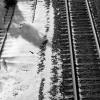 Snow Tracks